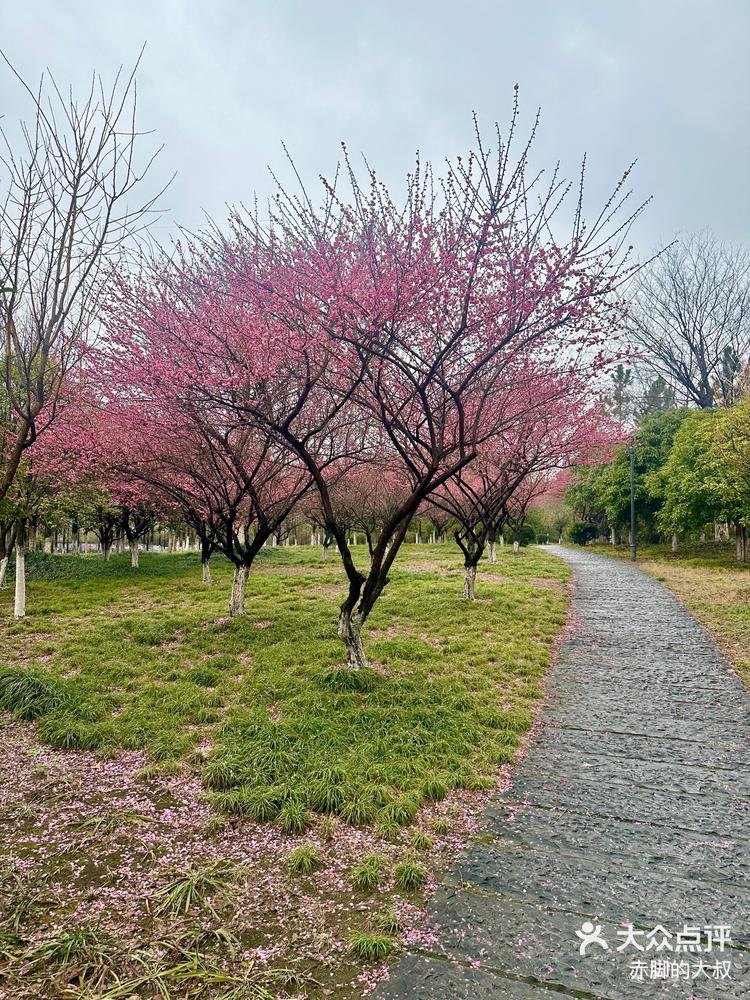 杭州下沙沿江湿地公园图片