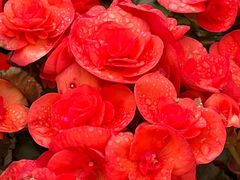 -广东外语外贸大学(白云山校区)