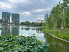 -西海子公园