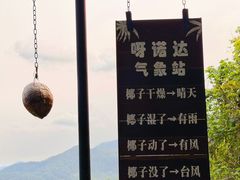 -呀诺达热带雨林