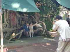 -野象谷景区