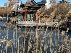 -莲花池公园