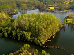 -溱湖国家湿地公园