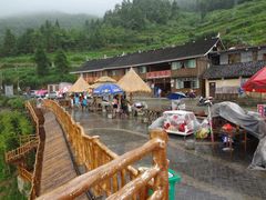 -紫鹊界梯田景区