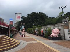 -九龙公园