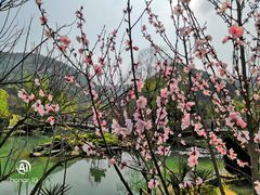 -桃花岭景区