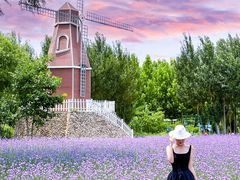 -渔岛海洋度假区