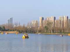 -洋湖国家湿地公园