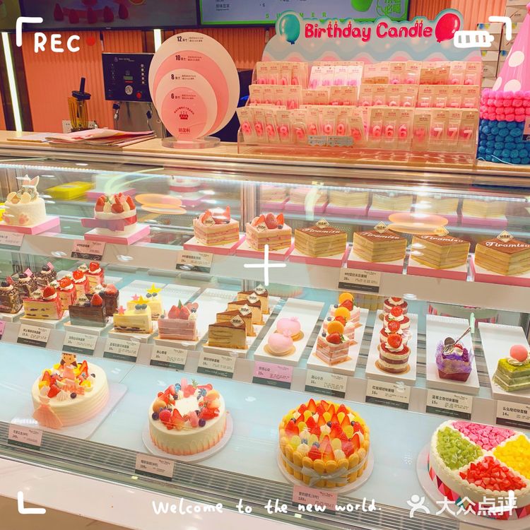 宝藏蛋糕店，猪猪女孩的福音🍰