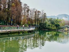 -四海公园(南山区)