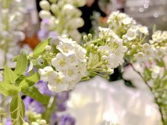 -循礼门鲜花花市(武汉循礼门店)