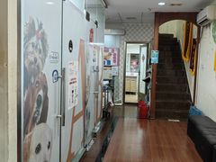 -宠物星动物医院·眼科·异宠·猫科(江南大道总院)