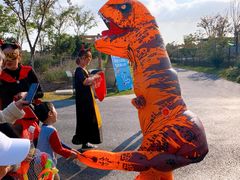 -季高兔窝窝亲子园(上海薰衣草公园店)