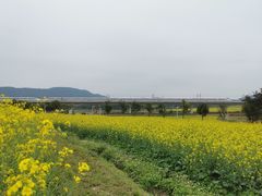-光明小镇欢乐田园