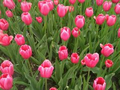 -长春公园(普阳街道)