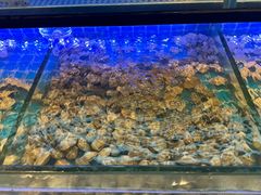 -透明思烤·自助烤肉海鲜火锅(东部星悦天地店)