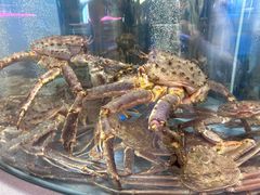 -海底捞大排档火锅(打浦路店)