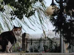 -国家图书馆·古籍馆