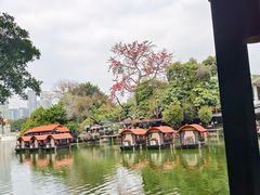 -侨美·唐荔园·40年地道粤菜