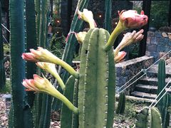 -MOJ coffee(瓯海泽雅水碓坑店)