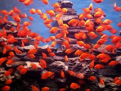 -多彩贵州城极地海洋世界