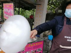 -龙潭水乡