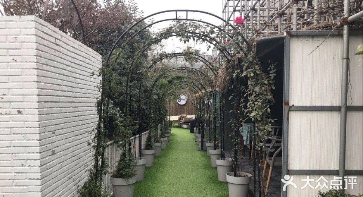 魔都春游打卡必来——亚马逊公园萌宠乐园