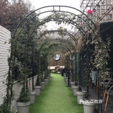 魔都春游打卡必来——亚马逊公园萌宠乐园