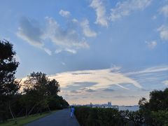 -上海滨江森林公园