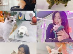-极木²邸 人与宠物·互动社区