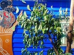 -梦幻世界游乐园