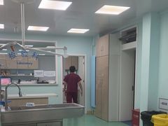 -北京观赏动物医院·24小时大型综合·猫专科·异宠专科