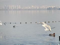 -西昌邛海湾柏樾酒店(原邛海湾柏栎度假酒店)