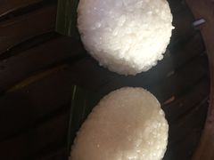 茨毛圆子-双塔老饭店