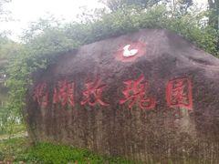 -鹅湖玫瑰文化园