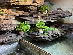 -山水茶艺馆·点心粤菜·30年老字号
