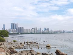 -福田红树林生态公园