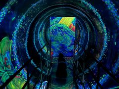 -上海梵高星空艺术馆(南京路旗舰店)