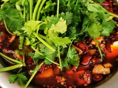 醉牛肉-无味饭店(九眼桥商业文化广场店)