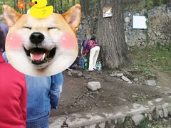 -阳台山自然风景区