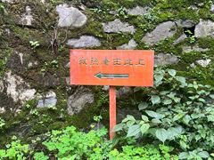 -寂照庵