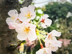 -南山植物园