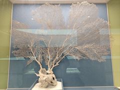 -中国湿地博物馆