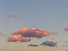 -春花秋色城市公园