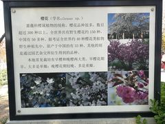-裕华世纪公园