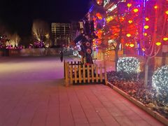 -南宫五洲植物乐园