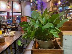 -陈帅夜排档·龙虾·炒菜·烤串(世茂店)