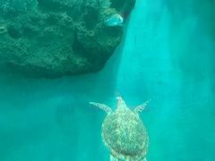 -苏州海洋馆
