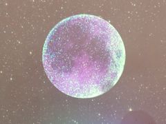-成都失恋馆