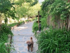 -北京水岸山吧度假村(雁栖镇店)